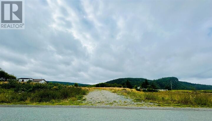 Property Photo:  235-241 Harbour Drive  NL A0B 1S0 