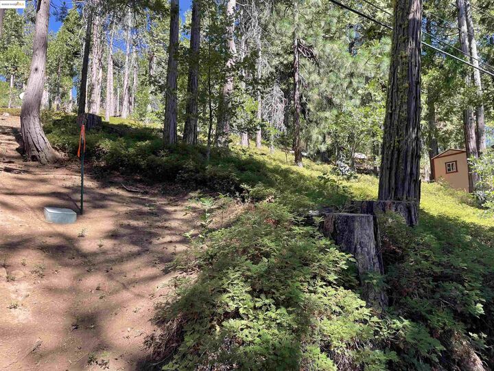 Property Photo:  25476 Rebekah Rd  CA 95335 