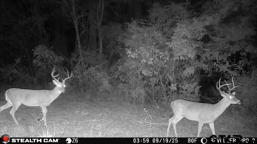 Property Photo: Tbd W Hwy 80 TX 75773