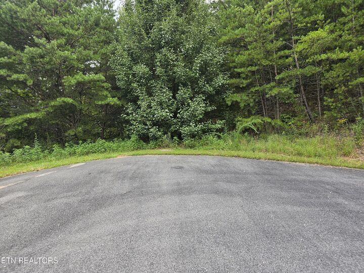 Property Photo: Jones Creek Lane TN 37862