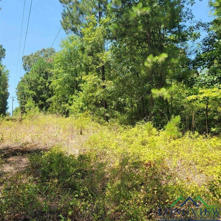 Property Photo:  0000 Driskell Bridge Rd  TX 75651 