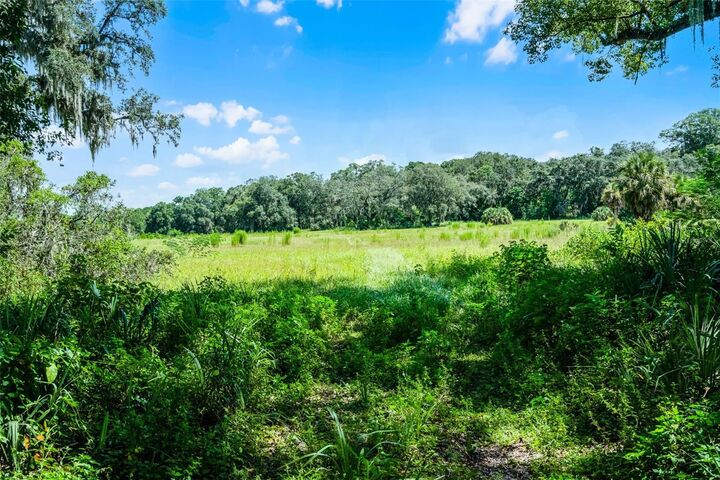 7466 Vivian Lane  Orlando FL 32818 photo
