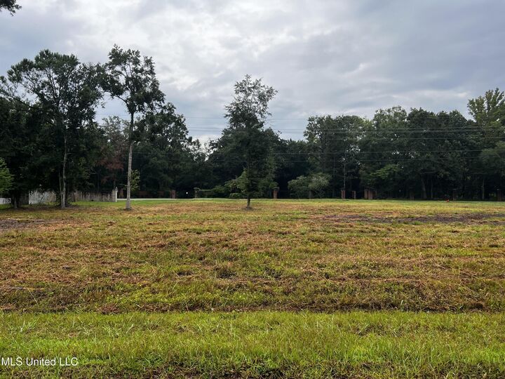 Sand Pine Cove  Gautier MS 39553 photo