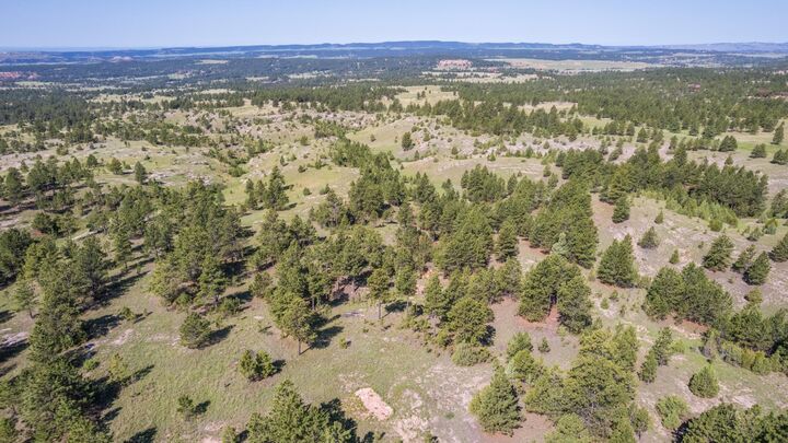 Property Photo: 26771 Elk Run Road SD 57747