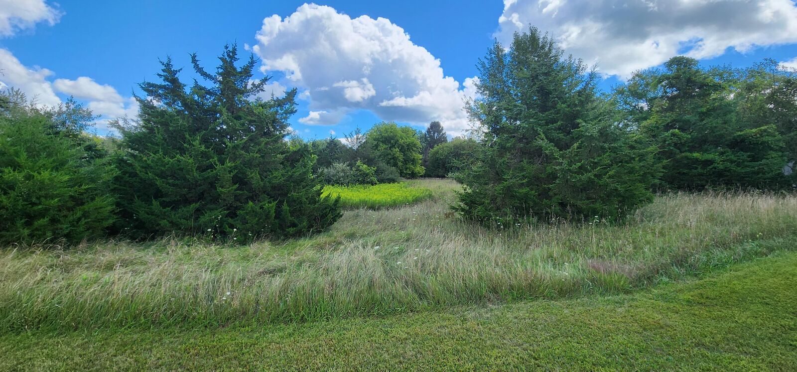 Property Photo:  Vl Hewitt Road  MI 49230 