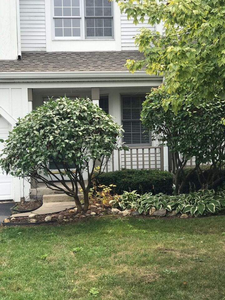 Property Photo:  315 Spring Point Drive  IL 60110 