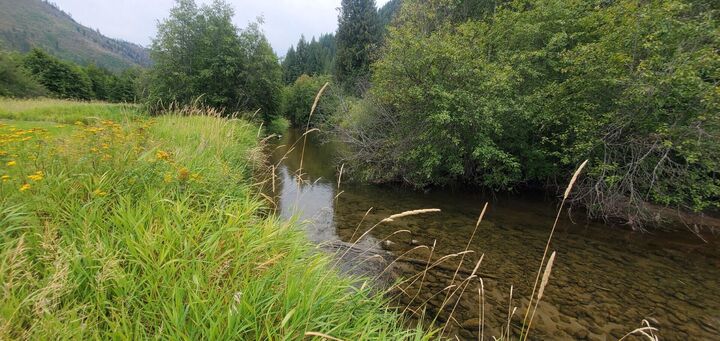 Property Photo:  3159 Heather Lane  WA 99114 