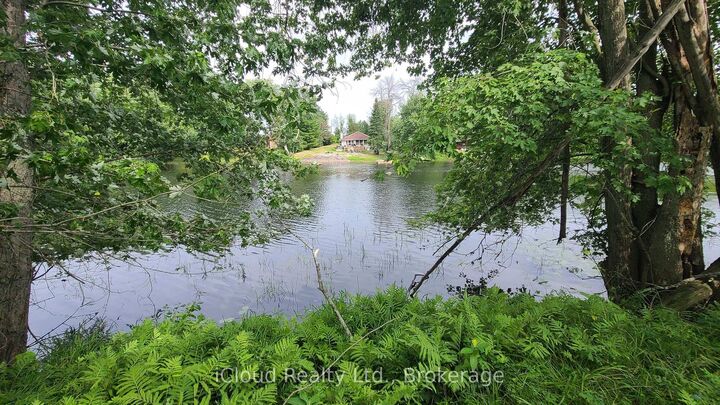233 Trillium Lane  Tweed ON K0K 3J0 photo