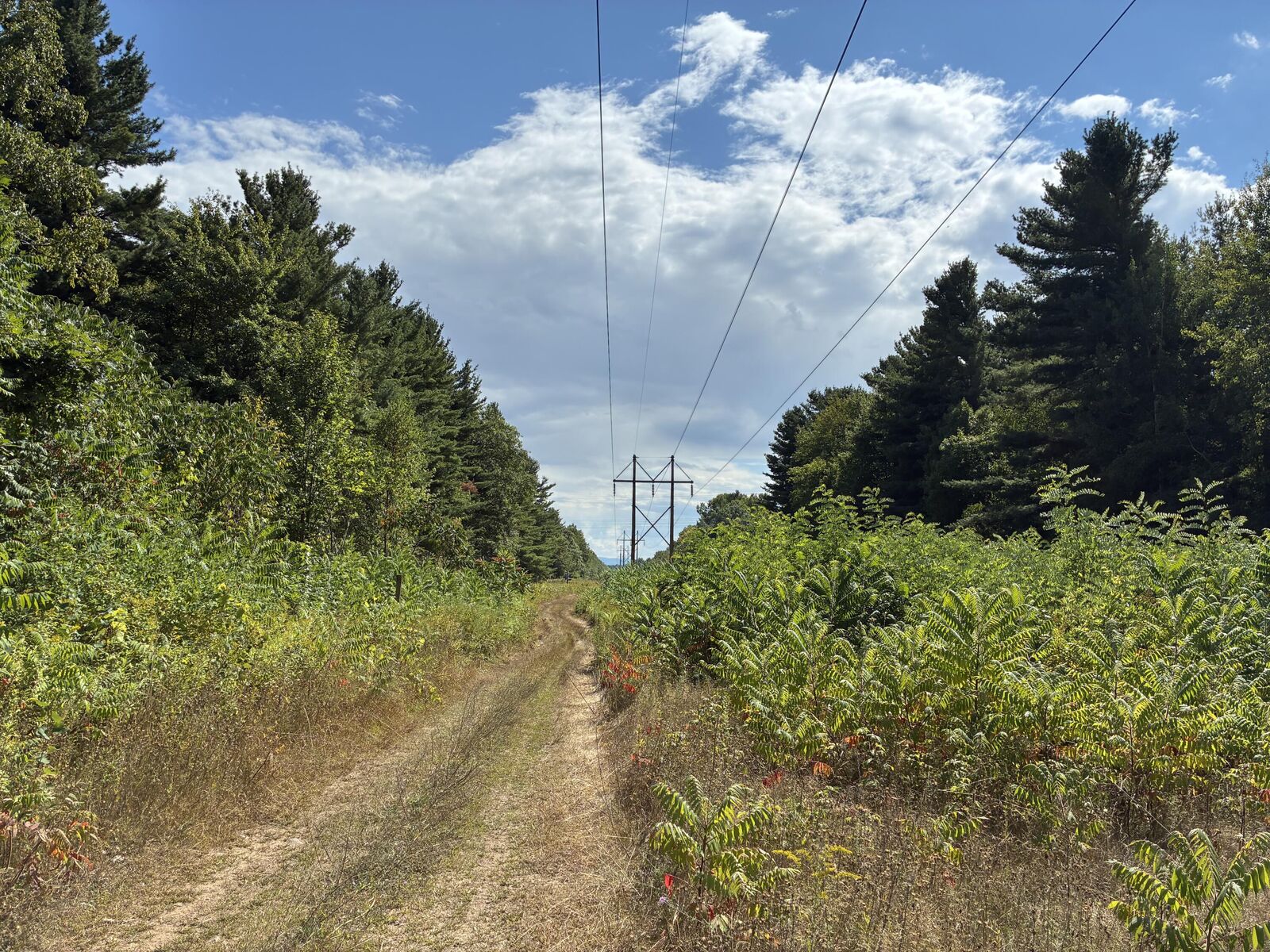 Property Photo:  000 Seymour Road  NY 12992 