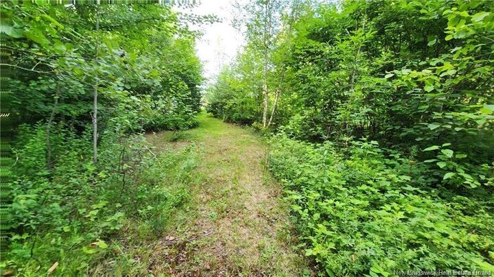 Property Photo:  7.6 Acres Rue Pinet  NB E1X 1L3 