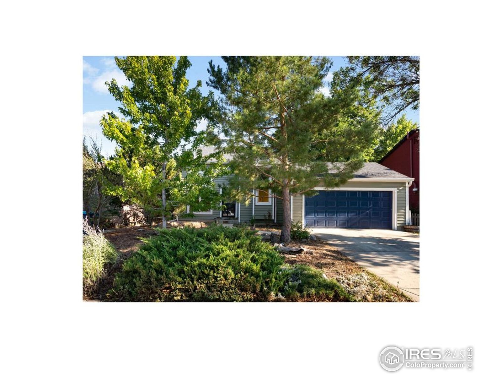 Property Photo: 228 S Cleveland Ave CO 80027