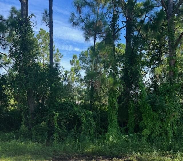 Property Photo:  Gancedo Avenue  FL 34291 