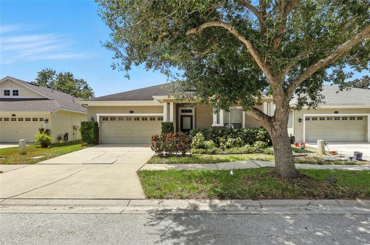 18112 Fall Creek Drive  Lutz FL 33558 photo