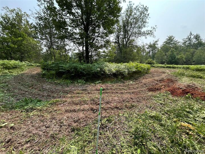 Property Photo: 6658 Brookfield Court MI 49730