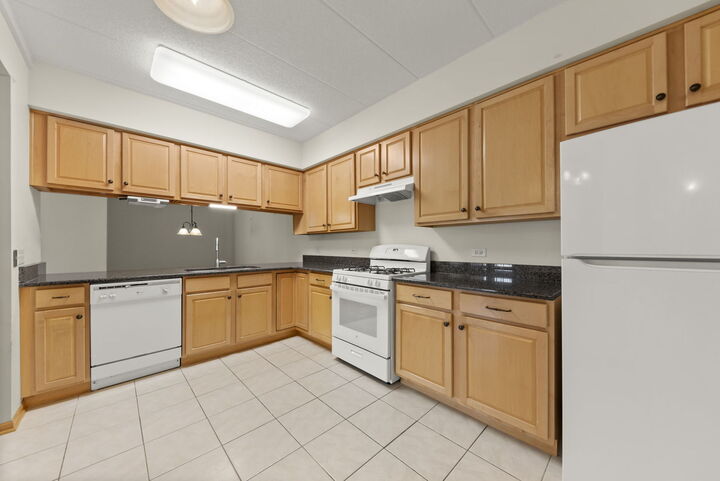 Property Photo:  2250 S Grace Street 201  IL 60148