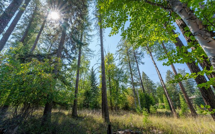 Property Photo:  1000 Colorado Avenue  MT 59937 