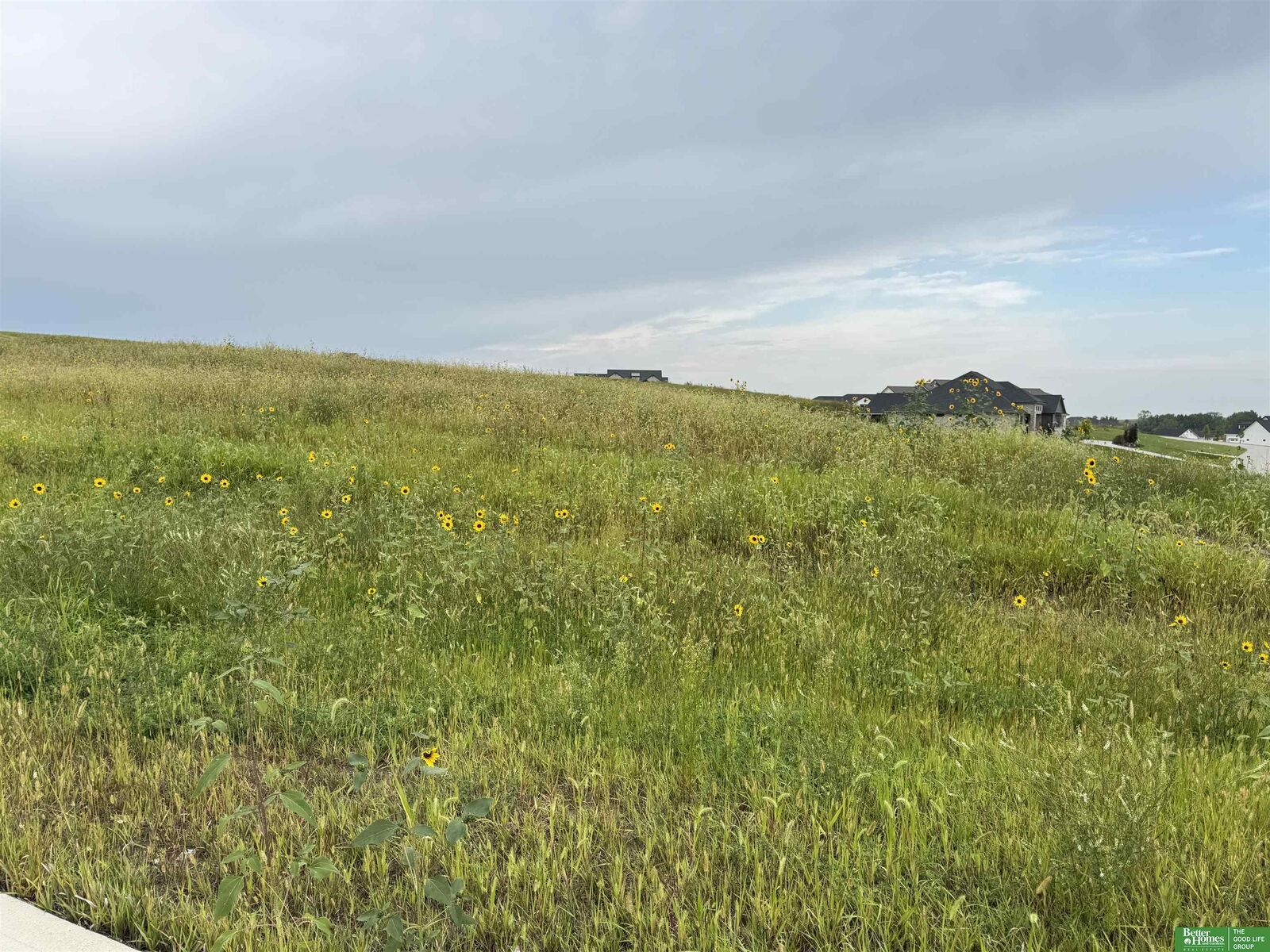 Property Photo: Tbd Lot 45 Street NE 68028