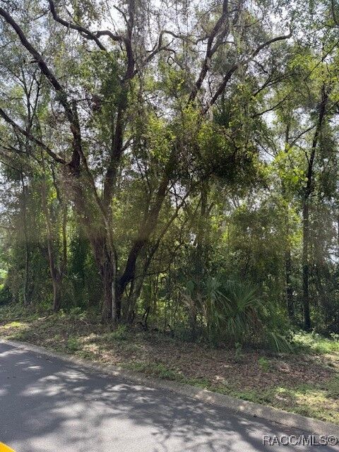 Property Photo:  403 Violet Lane  FL 34452 