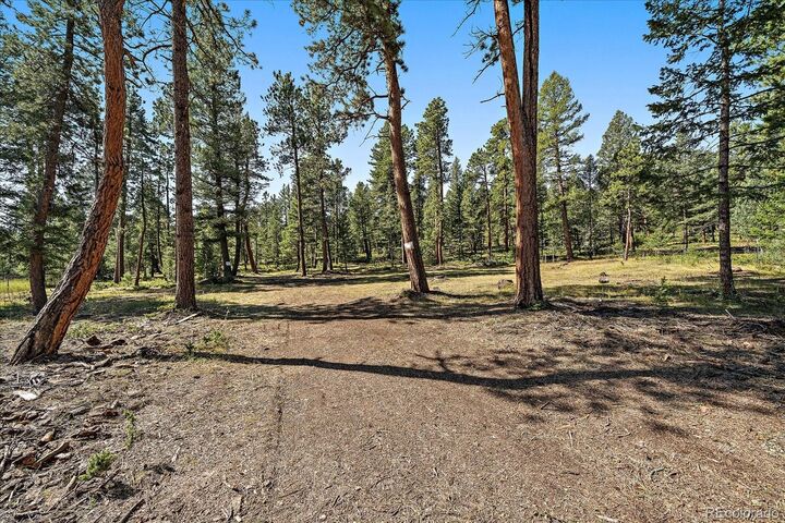 Property Photo:  0 Evergreen Drive  CO 80433 