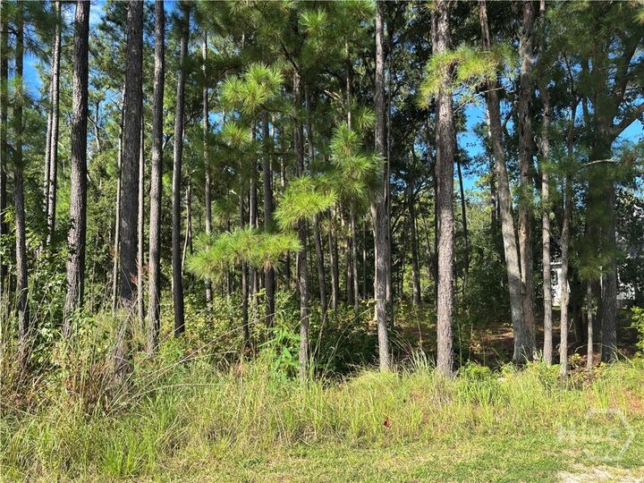 Property Photo:  183 Wood Haven Lane  GA 31322 