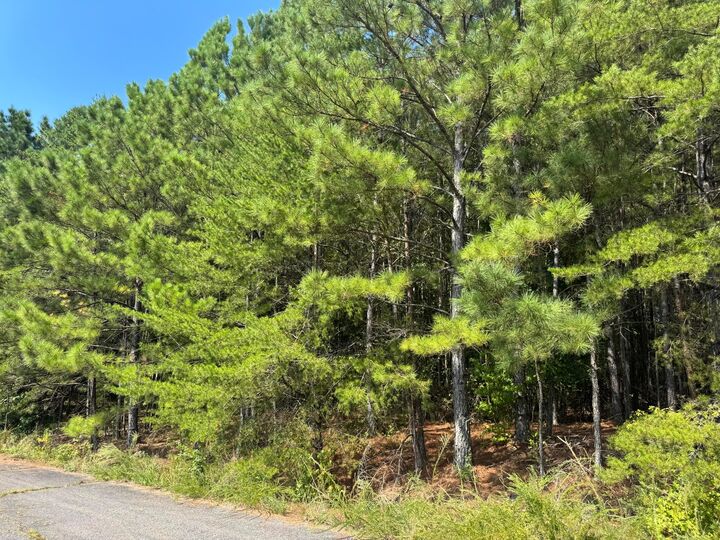 Property Photo: Lot 7 Kimwood Subdivision AL 35503