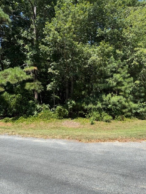 Property Photo:  Lot 111 Davey Jones Blvd  VA 23356 