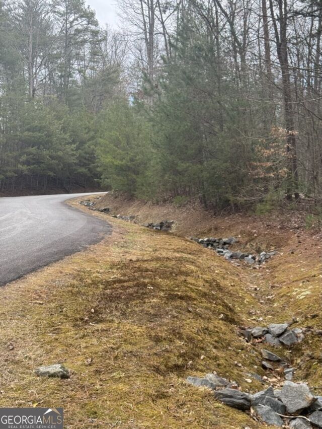 Property Photo:  Lot 16R Leatherwood Mtn  GA 30522 