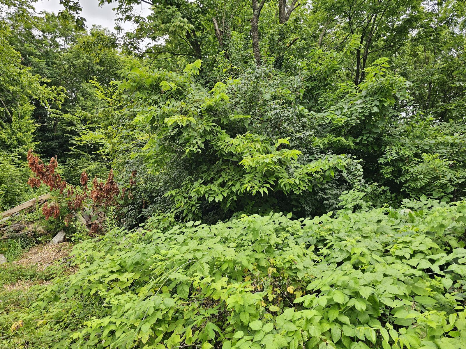 Property Photo: 540 Lincoln Street KY 40342