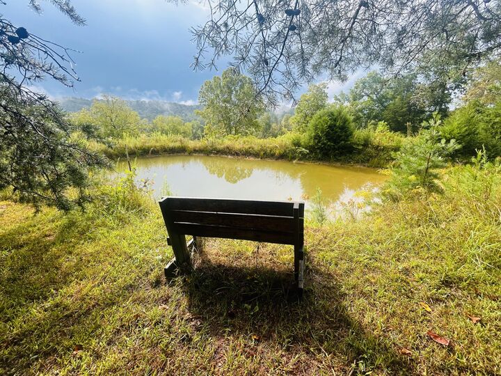Property Photo:  889 Bullock Cemetery Road  KY 42503 