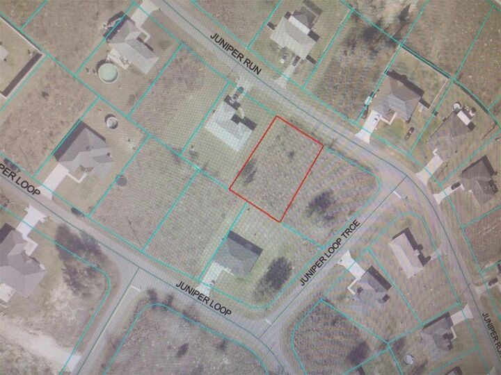 Property Photo:  Juniper Run  FL 34480 