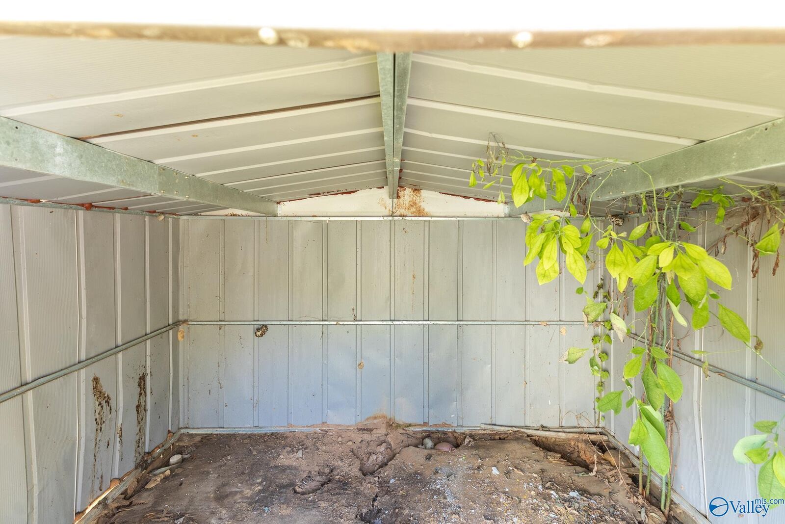Property Photo:  249 Usher Road  AL 35757 