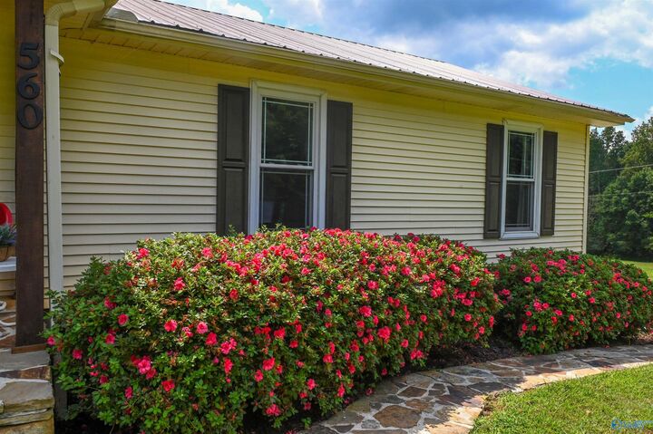 Property Photo: 560 Phillips Drive AL 35121
