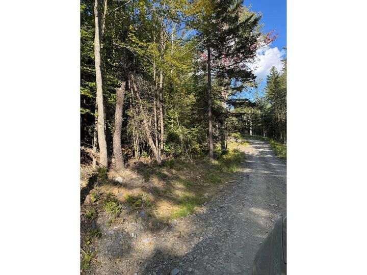 Property Photo: Lot 4 Milo'S Place VT 05682