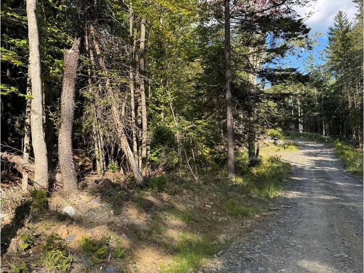 Property Photo:  Lot 4 Milo's Place  VT 05682 