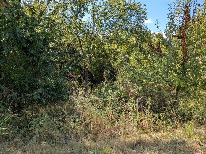 Property Photo: 45 Horseshoe Drive AR 72631