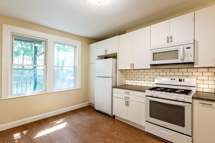 42 Deckard Street 1  Boston MA 02121 photo