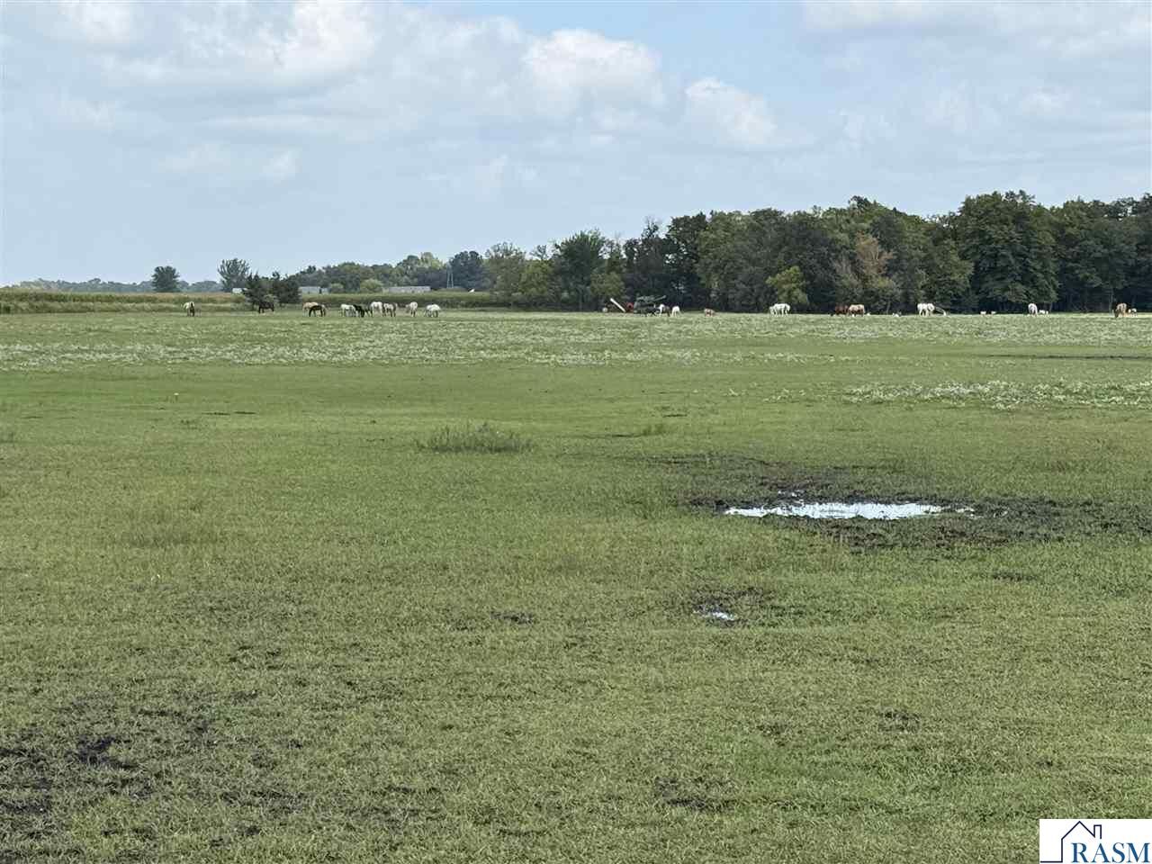 Property Photo: 38388 512th Street MN 56003