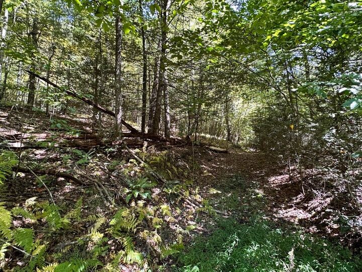 Property Photo:  2133 Wilderness Hwy  WV 26679 