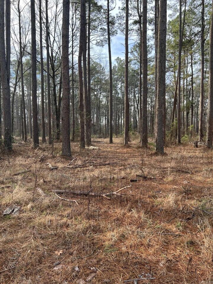 Property Photo: 7603 Sorrells Rd AR 71603