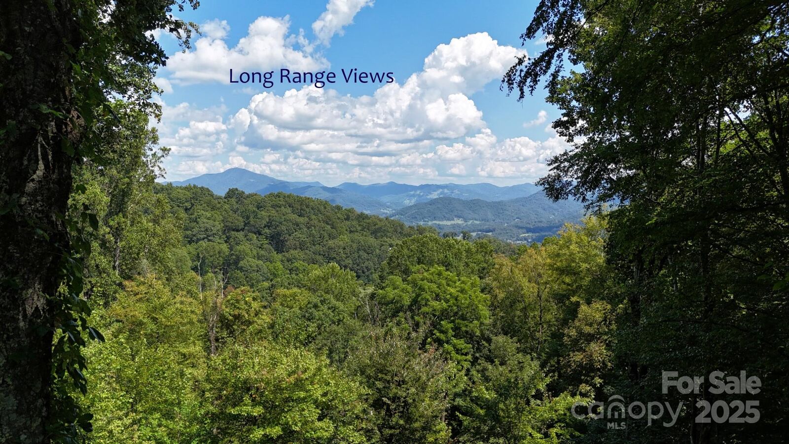 Property Photo: 2222 Sleepy Hollow Drive NC 28785