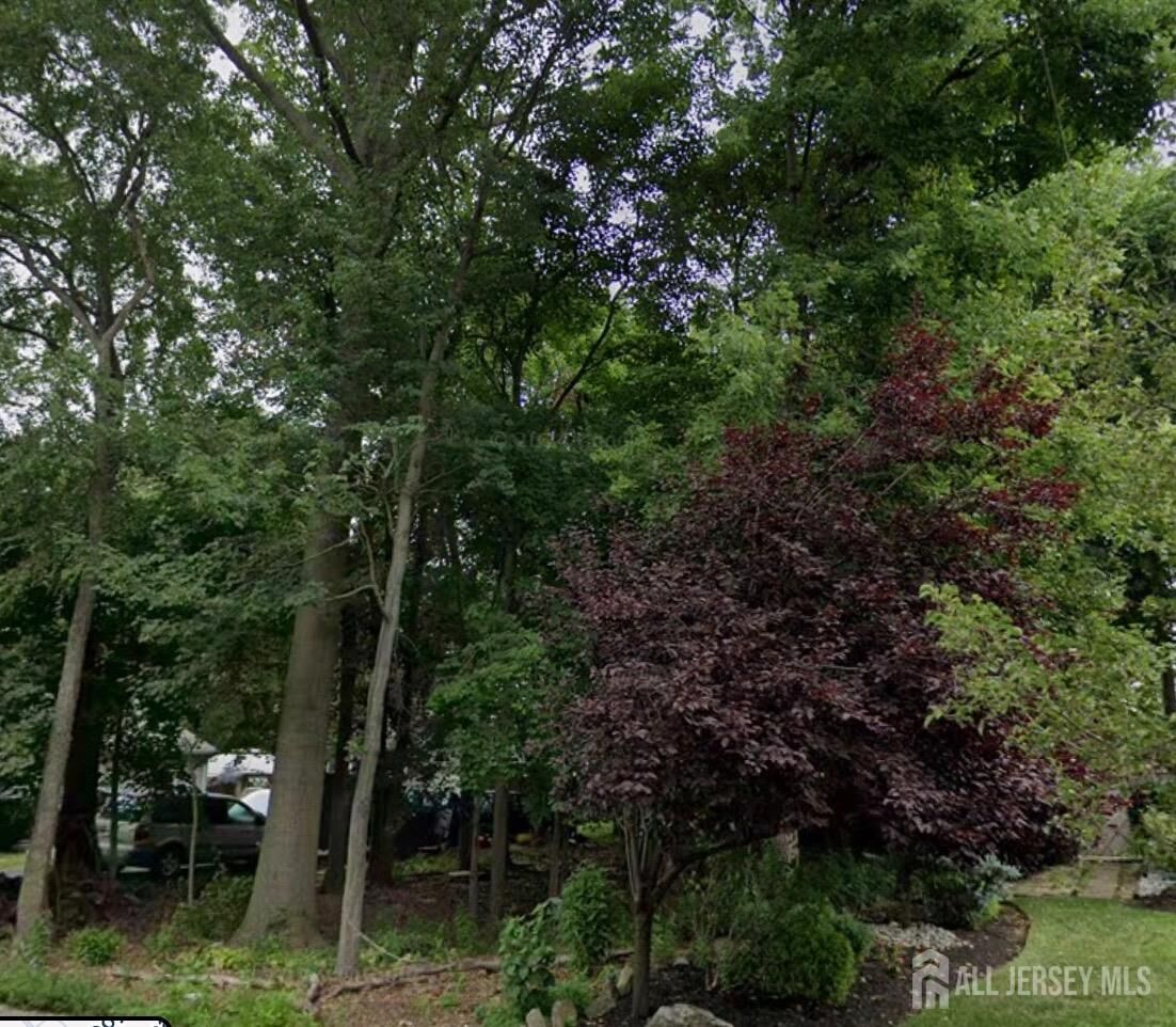 Property Photo:  41 Chicago Avenue  NJ 08854 