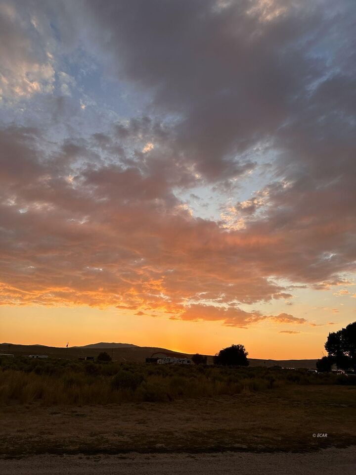 Property Photo:  Parcel  NV 89822 