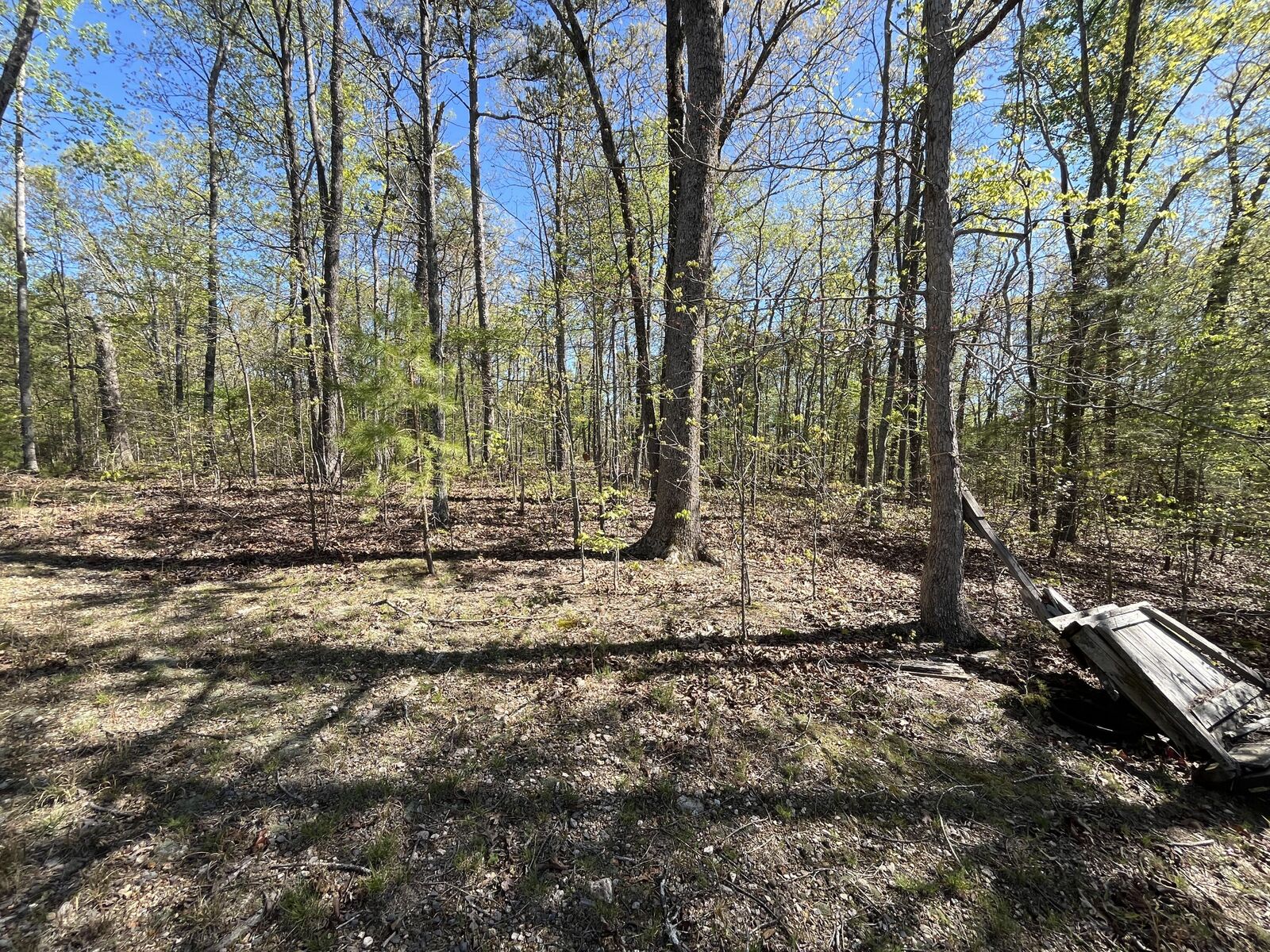 Property Photo: 35 Acres Lafayette Road GA 30740