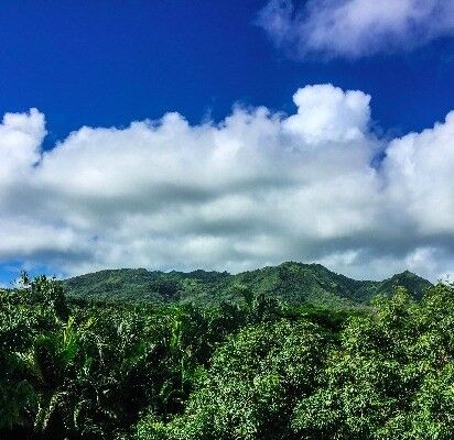 Property Photo:  6820-B Koolau Rd  HI 96754 