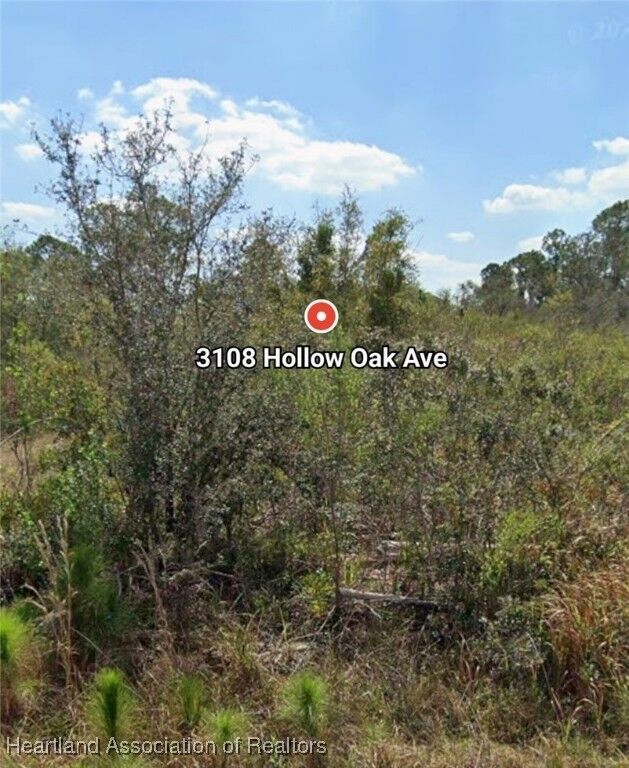 Property Photo: 3108 Hollow Oak Avenue FL 33852