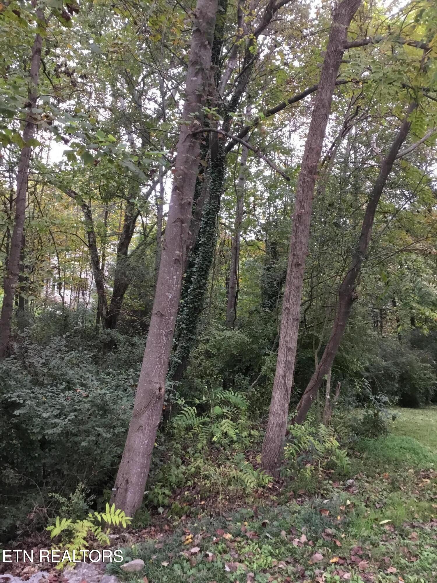 Property Photo:  0 Timbercrest Drive  TN 37716 