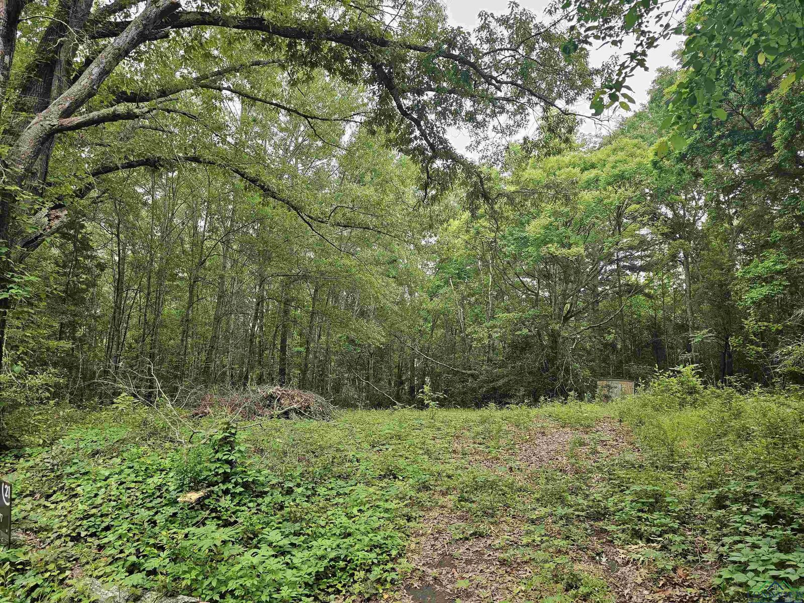 Property Photo: 125 Jenkins St TX 75654