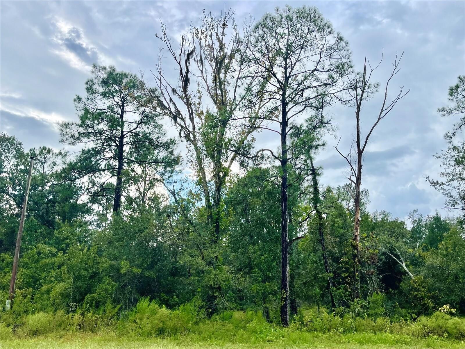 Property Photo: 0 US Highway 98 N FL 33809