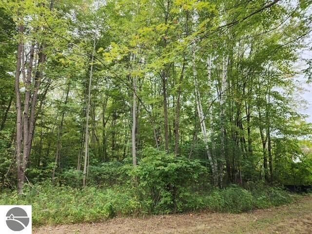 5870 W Dopp Road  Shepherd MI 48883 photo