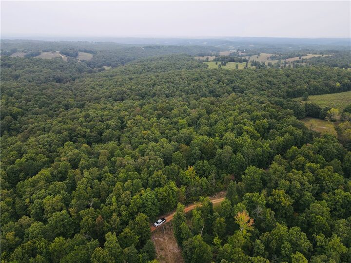 420 Persimmon Drive  Marshall AR 72650 photo